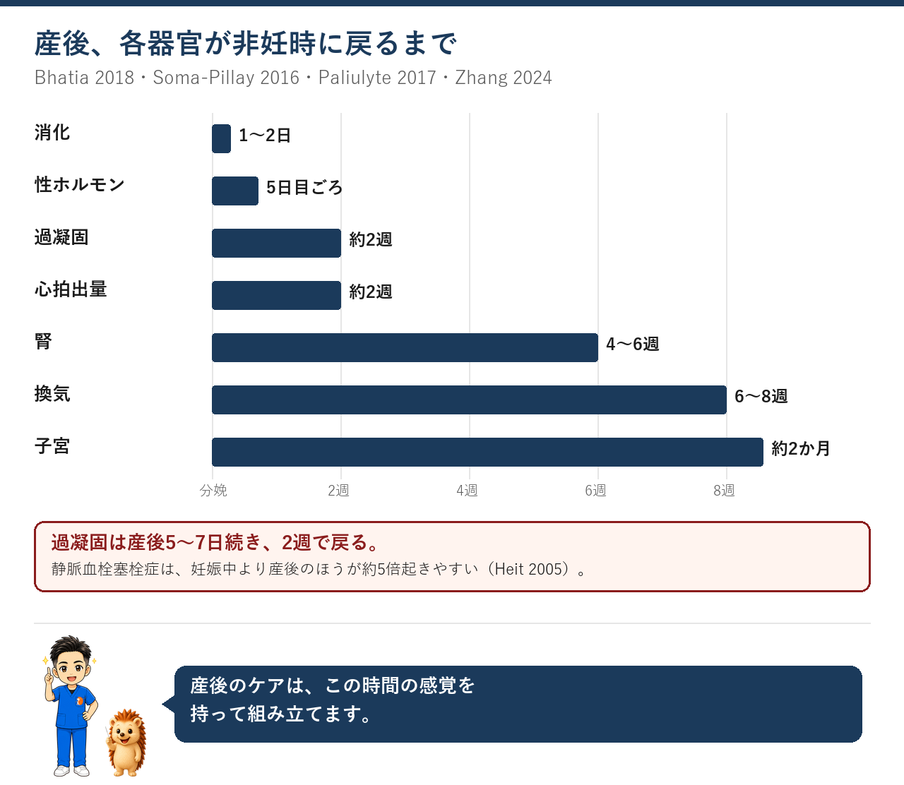 産後に各器官が戻るまで