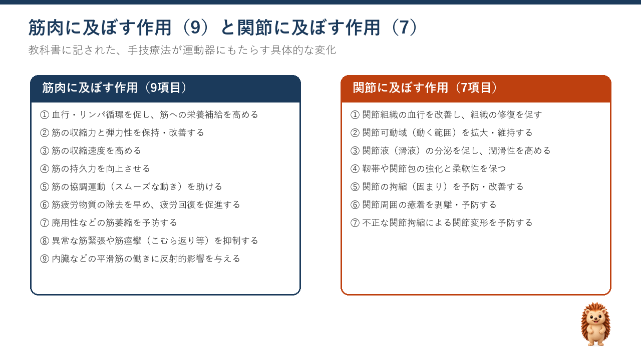 筋肉に及ぼす作用9つと、関節に及ぼす作用7つ